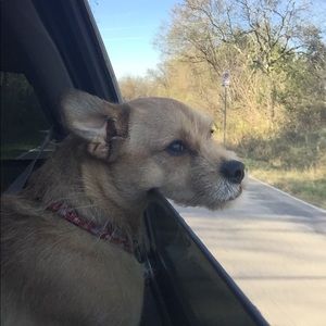 Meet your Posher, Erin